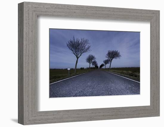 Highway, Crooked Trees at Full Moon by Night, Orth, Island Fehmarn, Schleswig Holstein, Germany-Axel Schmies-Framed Photographic Print