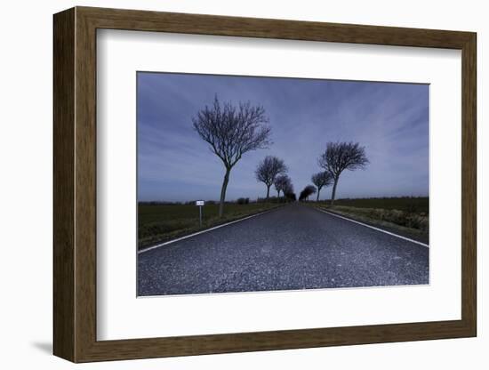 Highway, Crooked Trees at Full Moon by Night, Orth, Island Fehmarn, Schleswig Holstein, Germany-Axel Schmies-Framed Photographic Print