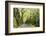 Highway EN1-1A Passing through green forest, Nordeste, Sao Miguel, Azores, Portugal-Panoramic Images-Framed Photographic Print