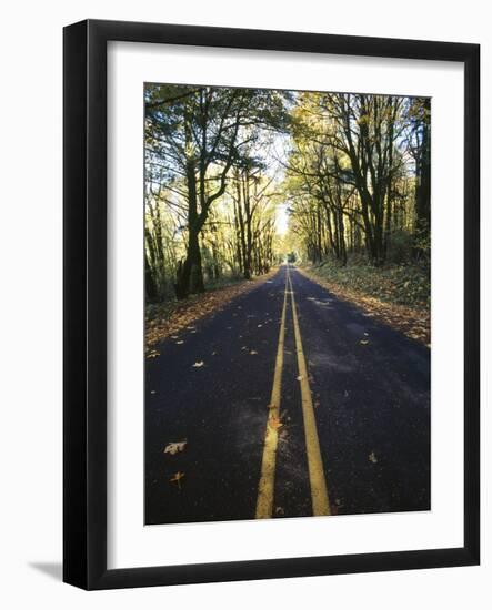 Highway Passing Through a Forest, Historic Columbia River Highway, Columbia River Gorge, Multnom...-null-Framed Photographic Print