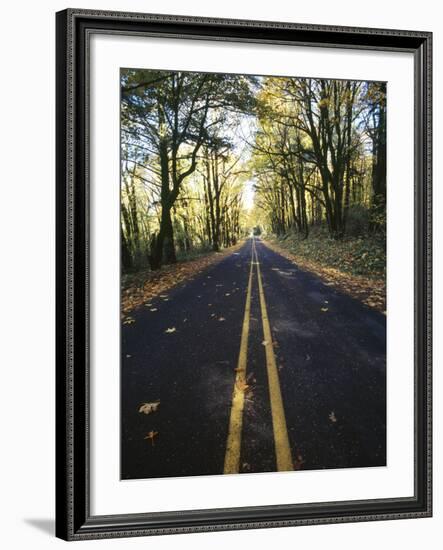 Highway Passing Through a Forest, Historic Columbia River Highway, Columbia River Gorge, Multnom...-null-Framed Photographic Print