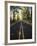 Highway Passing Through a Forest, Historic Columbia River Highway, Columbia River Gorge, Multnom...-null-Framed Photographic Print