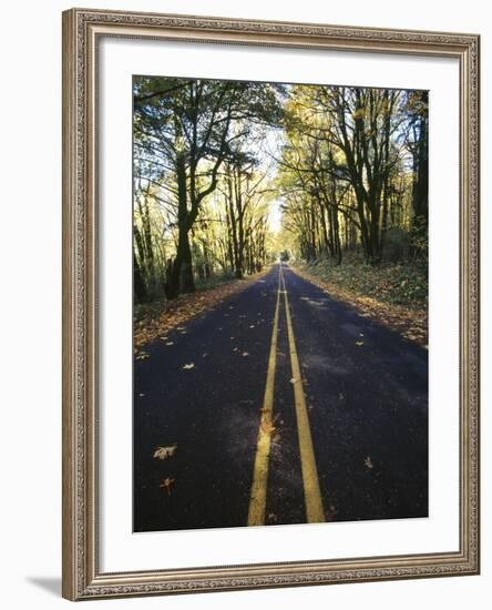 Highway Passing Through a Forest, Historic Columbia River Highway, Columbia River Gorge, Multnom...-null-Framed Photographic Print