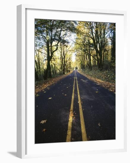 Highway Passing Through a Forest, Historic Columbia River Highway, Columbia River Gorge, Multnom...-null-Framed Photographic Print