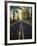 Highway Passing Through a Forest, Historic Columbia River Highway, Columbia River Gorge, Multnom...-null-Framed Photographic Print