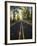 Highway Passing Through a Forest, Historic Columbia River Highway, Columbia River Gorge, Multnom...-null-Framed Photographic Print