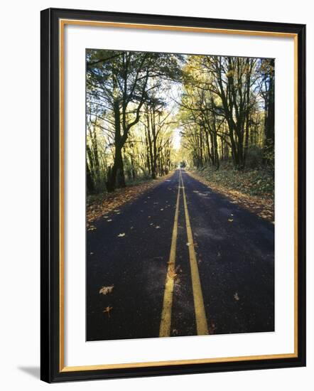 Highway Passing Through a Forest, Historic Columbia River Highway, Columbia River Gorge, Multnom...-null-Framed Photographic Print