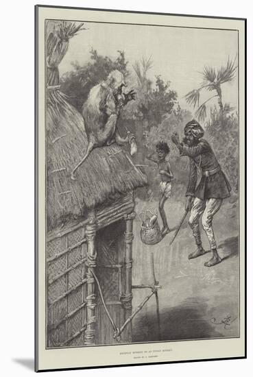 Highway Robbery by an Indian Monkey-Frederick Barnard-Mounted Giclee Print