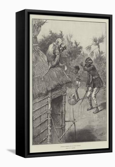 Highway Robbery by an Indian Monkey-Frederick Barnard-Framed Premier Image Canvas