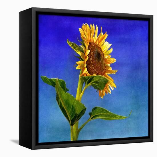 Highway Sunshine-Terri Hill-Framed Premier Image Canvas