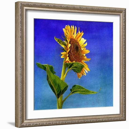 Highway Sunshine-Terri Hill-Framed Giclee Print