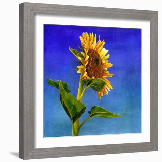 Highway Sunshine-Terri Hill-Framed Giclee Print