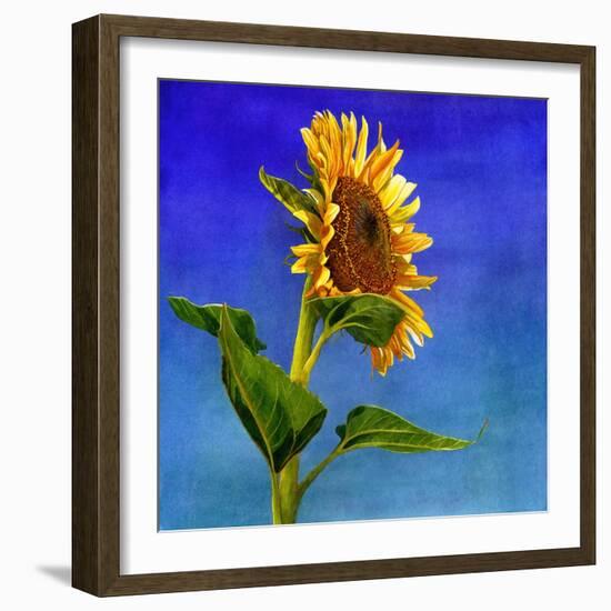 Highway Sunshine-Terri Hill-Framed Giclee Print