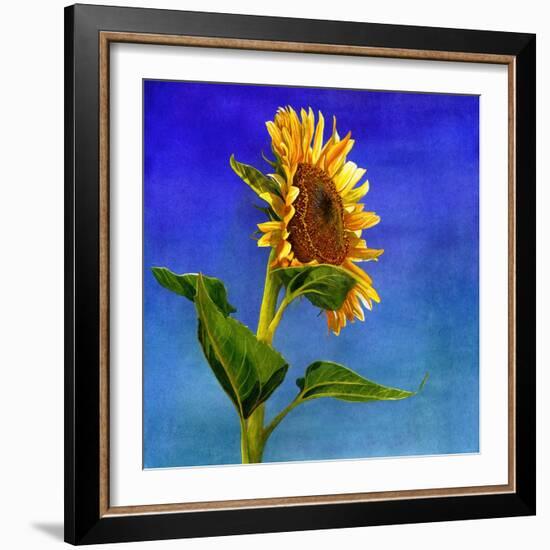 Highway Sunshine-Terri Hill-Framed Giclee Print