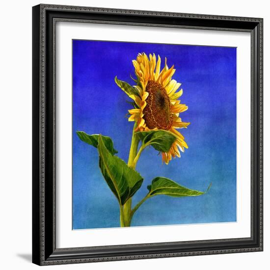 Highway Sunshine-Terri Hill-Framed Giclee Print