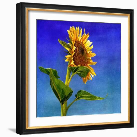 Highway Sunshine-Terri Hill-Framed Giclee Print