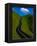 Highway Winding Through Countryside-Charles O'Rear-Framed Premier Image Canvas