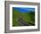 Highway Winding Through Countryside-Charles O'Rear-Framed Photographic Print