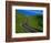 Highway Winding Through Countryside-Charles O'Rear-Framed Photographic Print