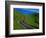 Highway Winding Through Countryside-Charles O'Rear-Framed Photographic Print