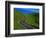 Highway Winding Through Countryside-Charles O'Rear-Framed Photographic Print