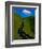 Highway Winding Through Countryside-Charles O'Rear-Framed Photographic Print