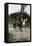 Highwayman Dick Turpin Holding Up a Rider on An English Road, 1700s-null-Framed Premier Image Canvas