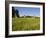 Hikeers walk in a field in Sabins Pasture, Montpelier, Vermont, USA-Jerry & Marcy Monkman-Framed Photographic Print