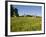 Hikeers walk in a field in Sabins Pasture, Montpelier, Vermont, USA-Jerry & Marcy Monkman-Framed Photographic Print