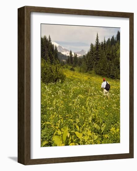 Hiker and Wildflowers in the Tatoosh Wilderness, Cascade Range of Washington, USA-Janis Miglavs-Framed Photographic Print