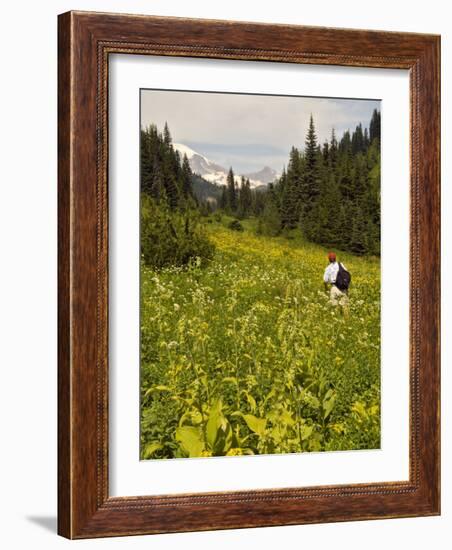 Hiker and Wildflowers in the Tatoosh Wilderness, Cascade Range of Washington, USA-Janis Miglavs-Framed Photographic Print