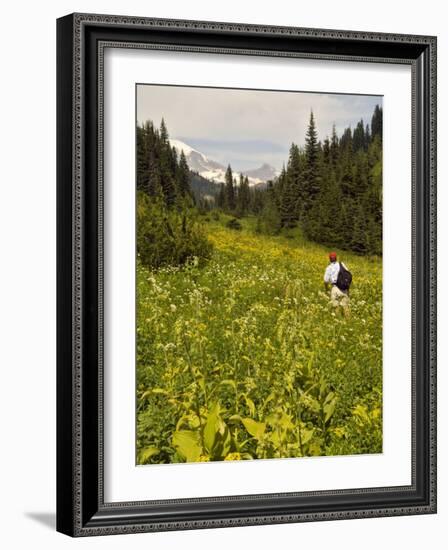 Hiker and Wildflowers in the Tatoosh Wilderness, Cascade Range of Washington, USA-Janis Miglavs-Framed Photographic Print