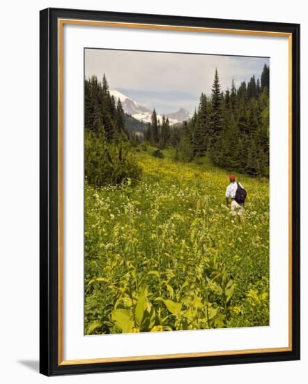 Hiker and Wildflowers in the Tatoosh Wilderness, Cascade Range of Washington, USA-Janis Miglavs-Framed Photographic Print