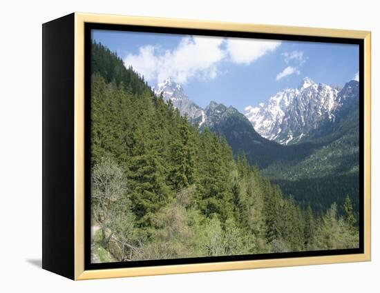 Hiker at Lomnicky Stit, High Tatra Mountains, Slovakia-Upperhall-Framed Premier Image Canvas