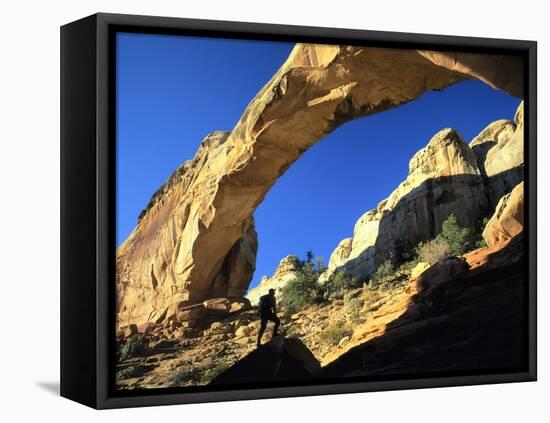 Hiker Below Natural Navajo Sandstone Hickman Bridge, Capitol Reef National Park, Utah, Usa-Scott T. Smith-Framed Premier Image Canvas