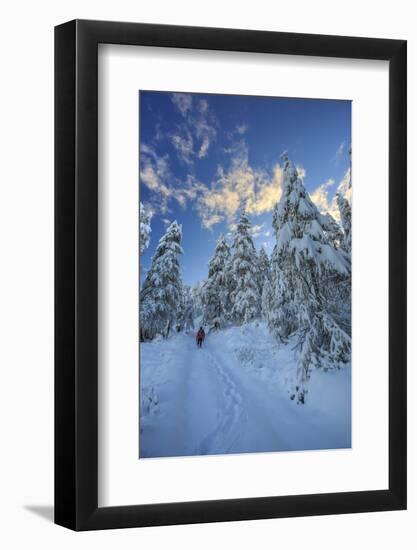 Hiker on Snowshoes Ventures in Snowy Woods-Roberto Moiola-Framed Photographic Print