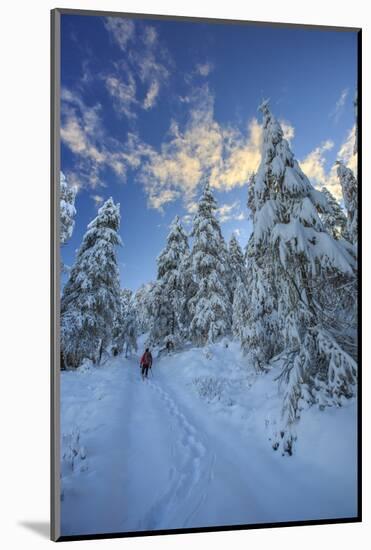 Hiker on Snowshoes Ventures in Snowy Woods-Roberto Moiola-Mounted Photographic Print