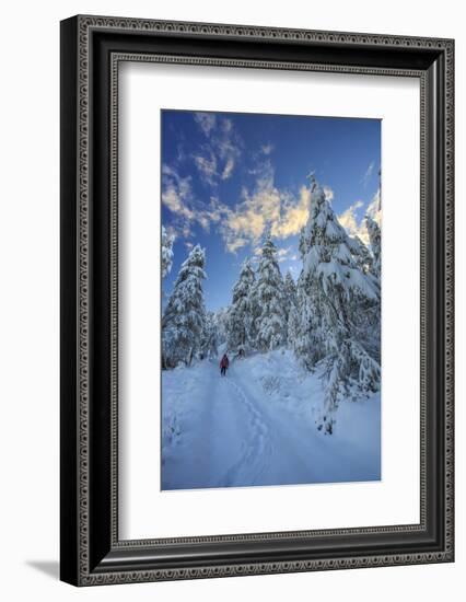 Hiker on Snowshoes Ventures in Snowy Woods-Roberto Moiola-Framed Photographic Print