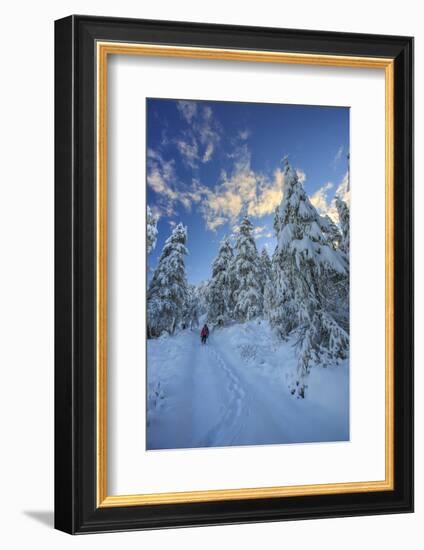 Hiker on Snowshoes Ventures in Snowy Woods-Roberto Moiola-Framed Photographic Print