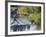 Hiker on Stepping Stones-null-Framed Photographic Print