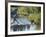 Hiker on Stepping Stones-null-Framed Photographic Print