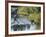 Hiker on Stepping Stones-null-Framed Photographic Print