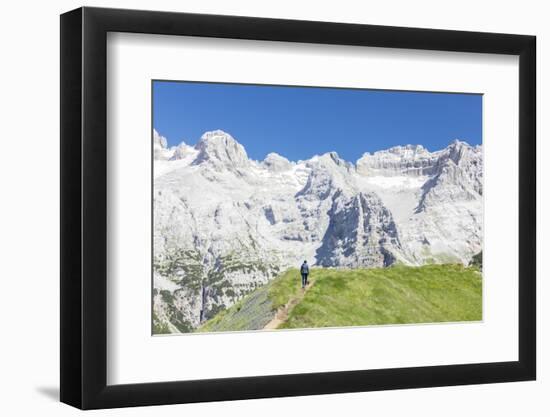 Hiker proceeds on the path to the rocky peaks, Doss Del Sabion, Pinzolo, Brenta Dolomites, Trentino-Roberto Moiola-Framed Photographic Print
