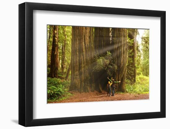 Hikers Admiring Redwood Trees, Redwood National Park, California-YayaErnst-Framed Photographic Print