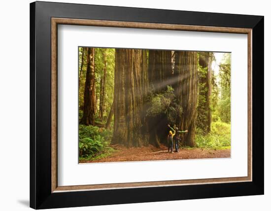 Hikers Admiring Redwood Trees, Redwood National Park, California-YayaErnst-Framed Photographic Print