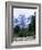 Hikers at Haut Asco, Corsica, France, Europe-Yadid Levy-Framed Photographic Print