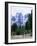 Hikers at Haut Asco, Corsica, France, Europe-Yadid Levy-Framed Photographic Print