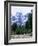 Hikers at Haut Asco, Corsica, France, Europe-Yadid Levy-Framed Photographic Print