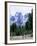 Hikers at Haut Asco, Corsica, France, Europe-Yadid Levy-Framed Photographic Print