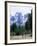 Hikers at Haut Asco, Corsica, France, Europe-Yadid Levy-Framed Photographic Print